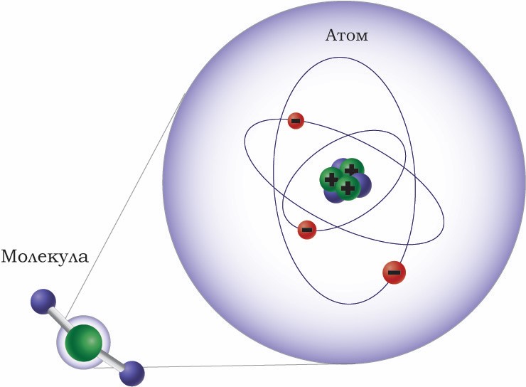 Молекула состоит из атомов