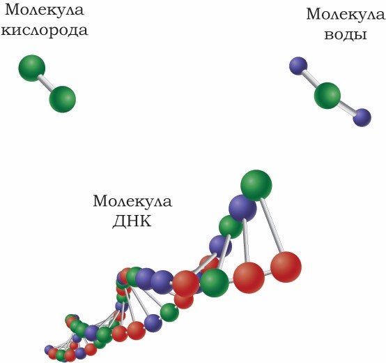 Различные молекулы